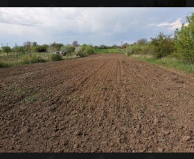 Vând teren agricol, județul Brăila, 5.65 hectare