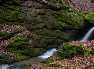 Vand teren intravilan in Padurea Neagra (Bihor)