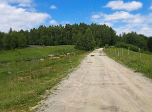 Vand teren intravilan Statiunea M.Baisorii