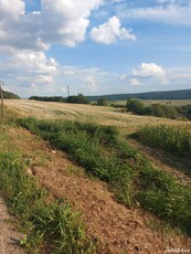 Vand teren la DN 15, la 15km., de Roman spre Piatra Neamt.