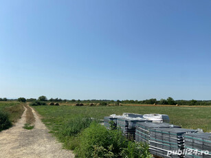 VAND TEREN MARE IN LUGOJ