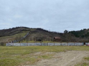 Vand teren Turda