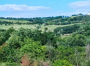 Vand teren.Panorama de vis. 1000mp--5000mp.