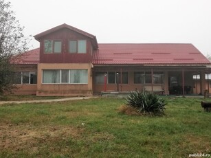 Vanzare casa P+M Letca Veche, 5 camere, teren 1.587 mp