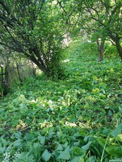 Vânzare casa teren, Poienărei,Arges