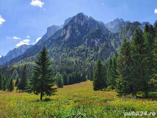 Vanzare teren intravilan in Busteni, ideal pentru investitie