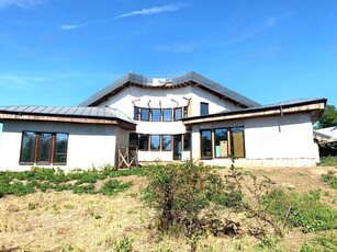 Vila de vacanta cu deschidere la lac- in sat Bosneagu