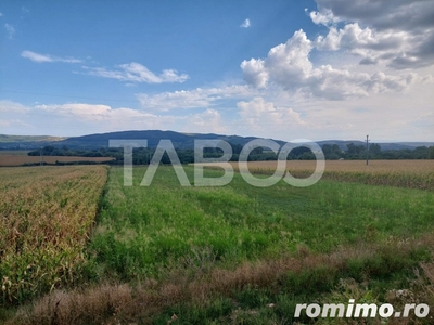 Teren extravilan agricol 6634 mp utilitati acces auto Santimbru Alba