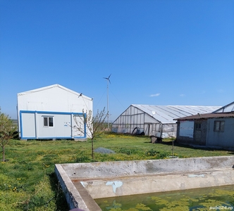 Vand ferma de legume in solarii, com. Nicolae Balcescu, jud. Constanta