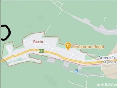 Vând teren in livada Baciu Cluj 1050 mp. 25 /mp. 26250