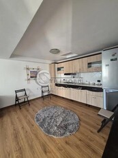 Apartament 2 camere PASAJ OCTAV BANCILA--480 EURO