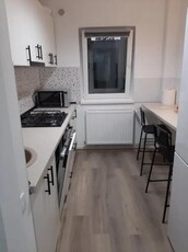 Apartament de inchiriat cu 2 camere- Zona Alexandru cel Bun