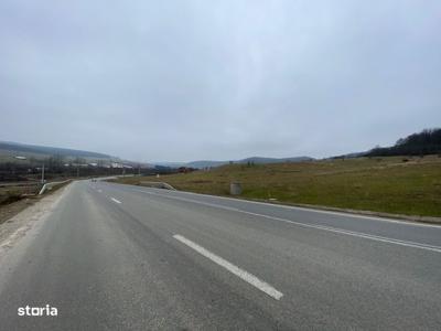 Teren extravilan 5250 mp strada Pădurii cu front stradal 21 metri