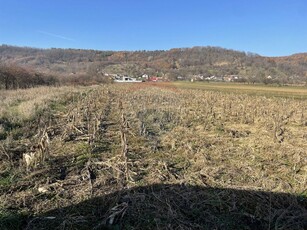 Teren de vanzare in Micesti (langa primarie)