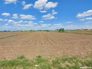 Vand teren intravilan, in loc. Cocani, com. Crevedia, situat intre paduri, aer curat, zona linistita