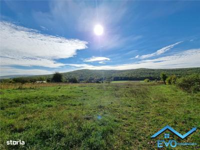 Teren 15000mp, deschidere la DN24, 18km de Iasi