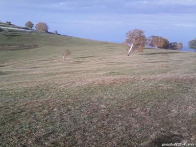 Teren superb Tarsa Luncani Hunedoara