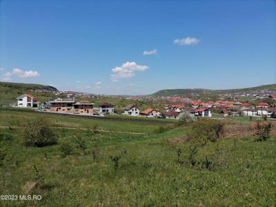 Strada Kelemen arpad, Chinteni, Chinteni