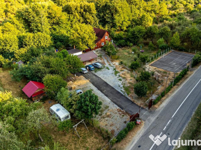 Casa/pensiune Valea Arinilor Căsoaia, Araneag, Arad