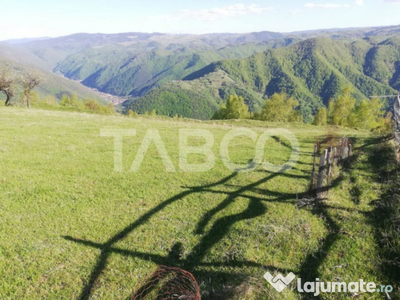 Teren 1,6 ha de vanzare in Loman zona turistica