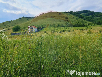 Teren 3,113mp Floresti / Strada Stejarului