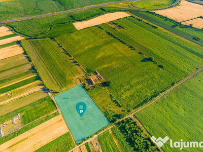 Teren de 10.000 mp situat în Bujac, Arad