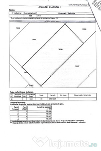 Teren intravilan Domnesti-str Spicului!