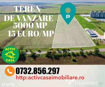 Teren investitii- E85- apropiere de viitoarea autostrada