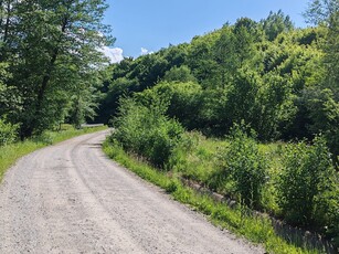 1,3 HA TEREN EXTRAVILAN FANEATA, in Muntii Apuseni, Negreni, jud. Cluj, la 5 km de E60, Cluj-Napoca Oradea, Transilvania, Romania