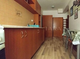 Apartament 1 camera, Manastur