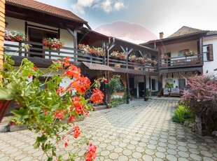 Hotelpensiune 13 camere vanzare in Sibiu, Nemsa