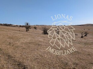 Teren 130.000 mp (13 ha)-Parcelabil-investitie-Zona Cighir