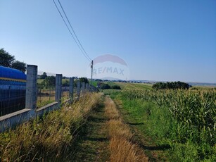 Teren Agricol, Extravilan vanzare, in Suceava, Bosanci