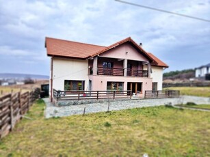 Vanzare vila deosebita, 7 camere, Labusesti-Uiasca