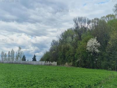 Teren la padure 1000 mp | front la padure 36 ml | Izvorani -Snagov