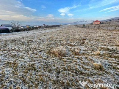 Exclusivitate! Investitie imobiliara, 1000 mp, Donath Nord F