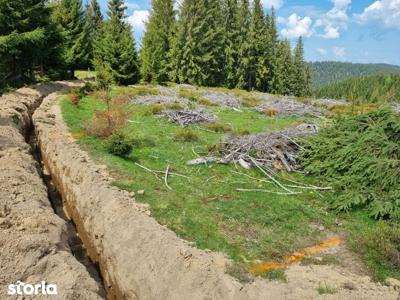 Spatiu de Birouri - Amenajat - 83 mpu - Calea Cisnadiei