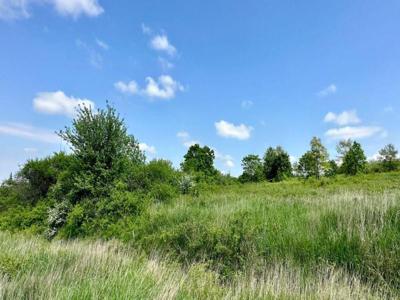 Tere Intravilan de Vanzare in Saldabagiu de Munte, Judetul Bihor