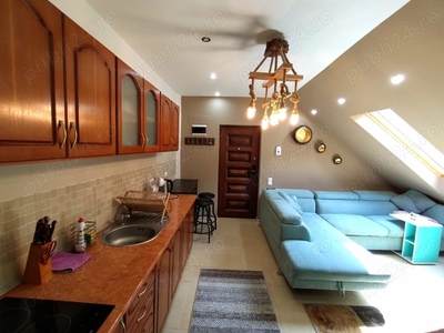 Apartament cochet cu potential turistic de vanzare in Busteni, zona Kalinderu