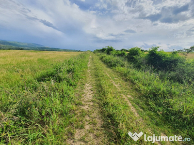 Teren intravilan arabil, 15 hectare