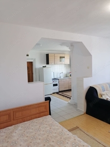 Va oferim spre vanzare apartament cu 1 camera in Mureseni