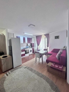 Apartament de inchiriat 2 camere, APCJ245215FLO