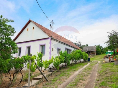 Casa cu livada, renovata total, de vanzare in Sisterea