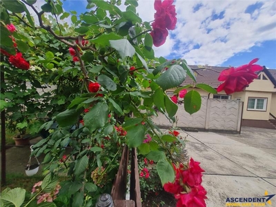 LIVE! Casa cu vatra traditionala,curte si gradina inflorata,garaj,facilitati, Codlea, Brasov