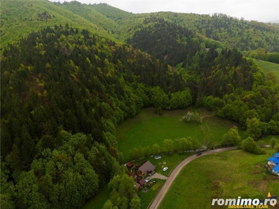 LIVE!Refugiu in inima naturii:Cabana sub aripa padurii si cu acces la rau, Holbav