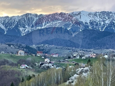 Teren Agricol, Extravilan vanzare, in Brasov, Pestera