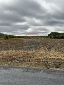 Teren Agricol, Extravilan vanzare, in Giurgiu, Gaiseni