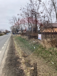 Teren Agricol, Intravilan vanzare, in Neamt, Turturesti