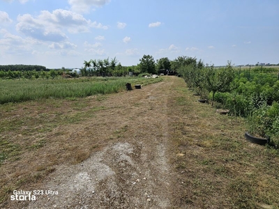 20 de arii extravilan langa aeroportul Satu Mare