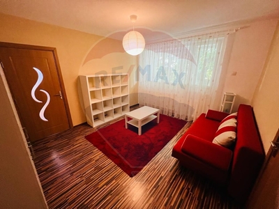 Apartament 2 camere inchiriere in bloc de apartamente Maramures, Baia Mare, Central